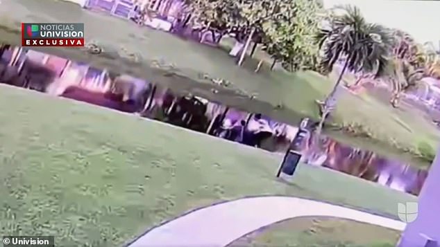 The moment Patricia Ripley pushes her autistic son into a canal in a failed attempt to murder him
