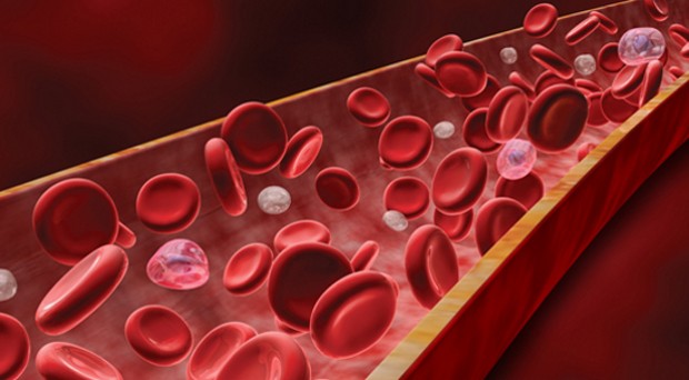 Men have higher enzyme in blood 